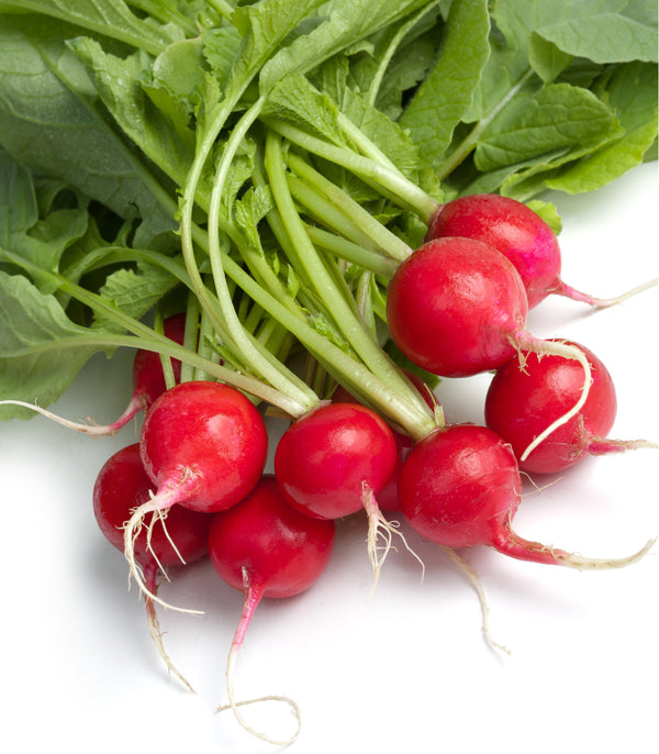 Radish Cherry Belle