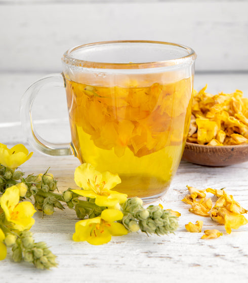 Great Mullein 150 Seeds