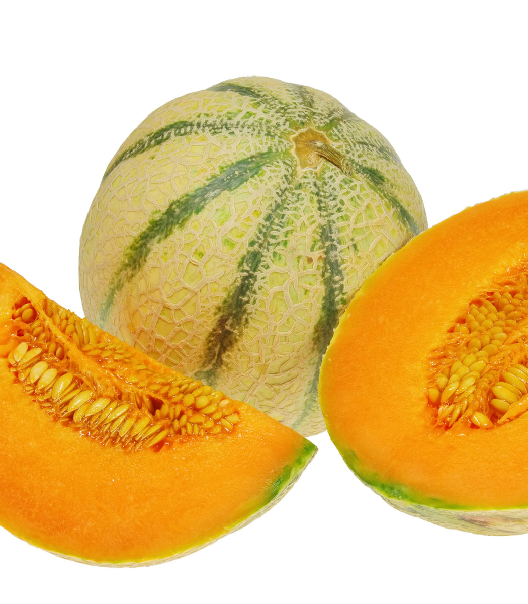 Melon Charentais 35 Seeds (Cucumis melo Charentais) Heirloom Open poll ...